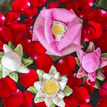 David Boutique & Spa Siem Reap Ngoại thất bức ảnh